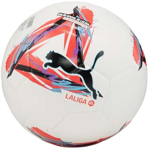 Nogometna Lopta Puma ORBITA LALIGA 1 084287 01 Bijela Cijene