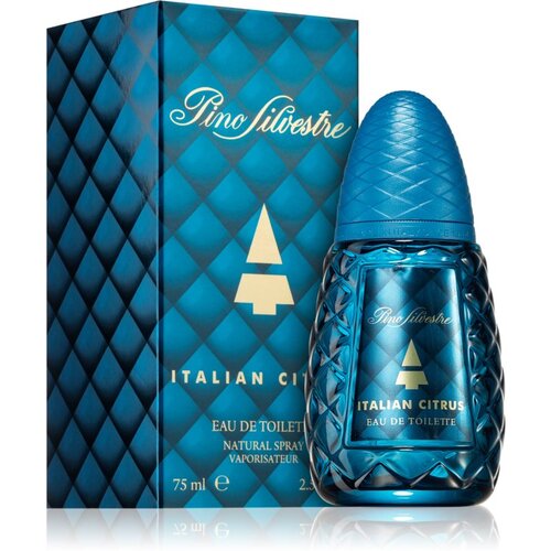 Pino Silvestre Italian Citrus toaletna voda za moške 75 ml Cene