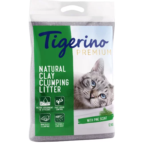 Tigerino Special Edition pesek za mačke - vonj borovcev - Varčno pakiranje: 2 x 12 kg