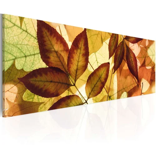  Slika - collage - leaves 120x40