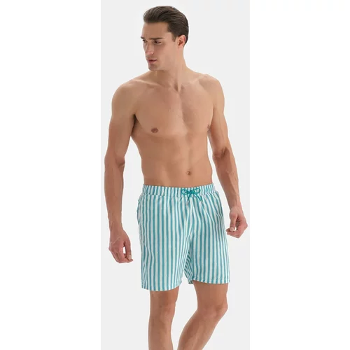 Dagi Green-White Striped Medium Shorts