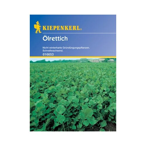 KIEPENKERL Oljna redkev &amp;quot;Rufus&amp;quot; Slike