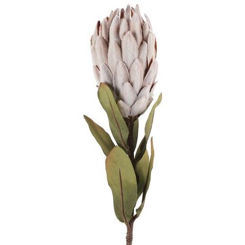DEKOR DOM Ve&scaron;tačko cveće Protea 789508, 61 cm Cene
