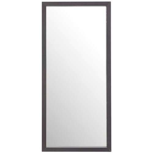 CARRYHOME STENSKO OGLEDALO, 34/74/4 cm steklo Slike