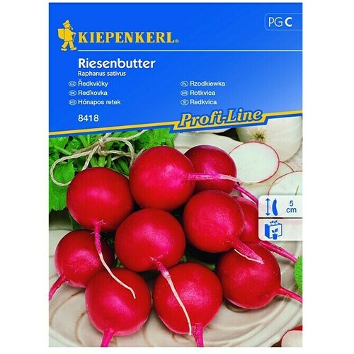 KIEPENKERL Profi-Line Zelenjavna semena redkvic Riesenbutter (Raphanus sativus, Čas žetve: Junij, 10 m²) Cene