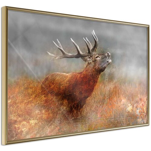  Poster - Rut 45x30 Slike