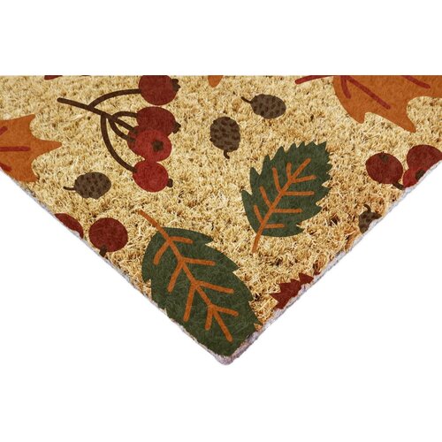 Artsy Doormats Otirač od kokosovih vlakana 40x60 cm Autumn Leaves &amp;ndash; Slike