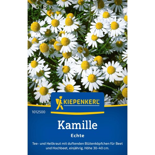 KIEPENKERL Prava kamilica - 1 pkt. Cene