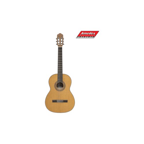  GITARA KLASIČNA ANGEL LOPEZ GRACIANO CM Cene