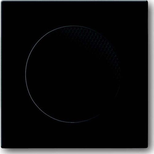 Busch-Jaeger osrednji disk antracit 8253-81, (20891307) Slike