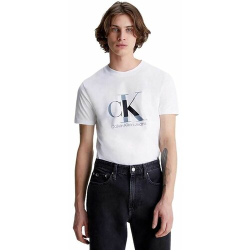 Calvin Klein muška logo majica CKJ30J323299-YAF Slike