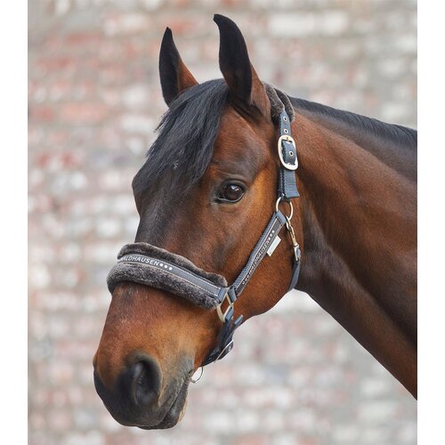 Waldhausen Oglavka Elegant, asfaltno siva - Full Slike
