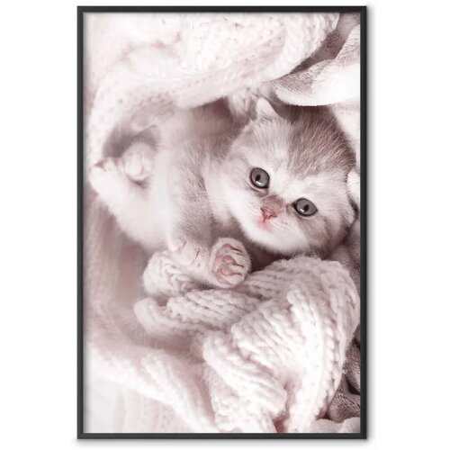  Plakat - Lover of Rest 21x30 Crni okvir Cene
