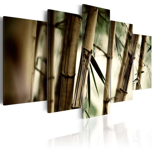  Slika - Asian bamboo forest 100x50