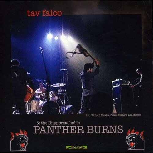  Tav Falco And Panther Burns - Administrator Blues Cene