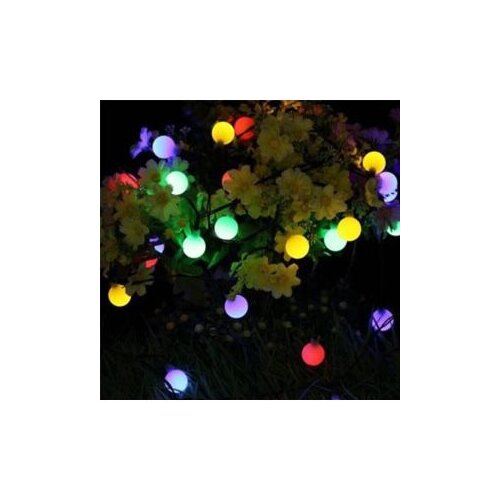 Lampice loptica CH143 Cijene