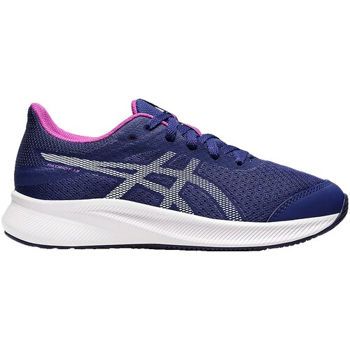 Asics Tek & Trail Patriot 13 Gs Modra Cene