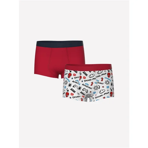 LC Waikiki Printed Boy's Boxer Set of 2