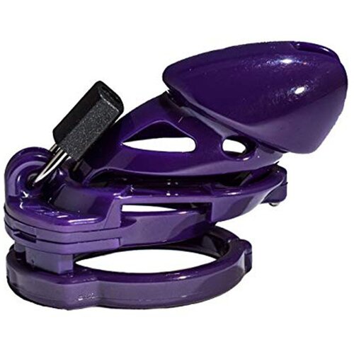 The Vice Standard Purple Cene