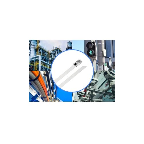 TRU COMPONENTS TC-12656640 Čelične kabelske vezice 150 mm 4.6 mm AISI 304 10 St. Cijene