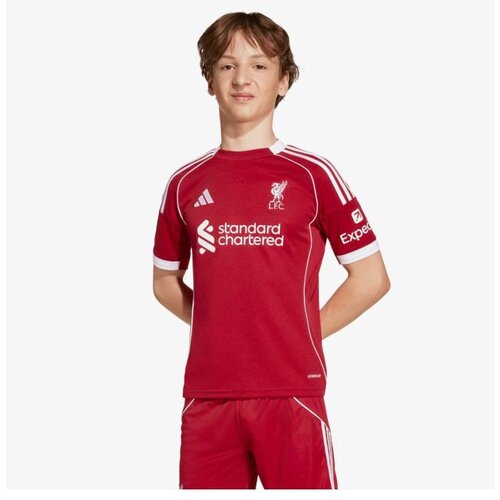 Adidas Lfc h jsy y Cene
