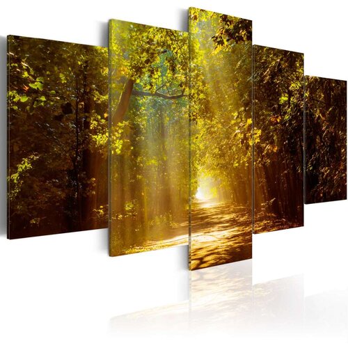  Slika - Forest in the Sunlight 200x100 Slike