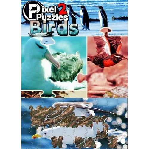 Pixel Puzzles 2: Birds Steam Key EUROPE Cene