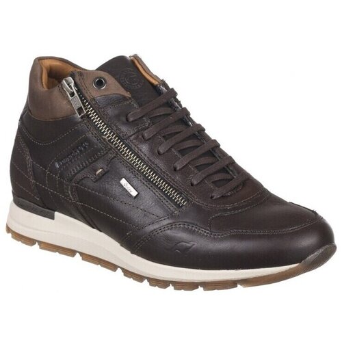 Kangaroos Nizke superge SNEAKERS 630 Kostanjeva Cene