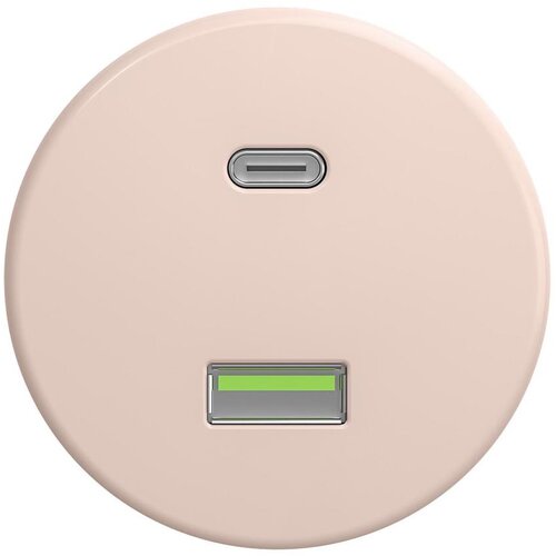  Reblig - Retro USB utičnica A+C bez okvira staroružičasta Cene
