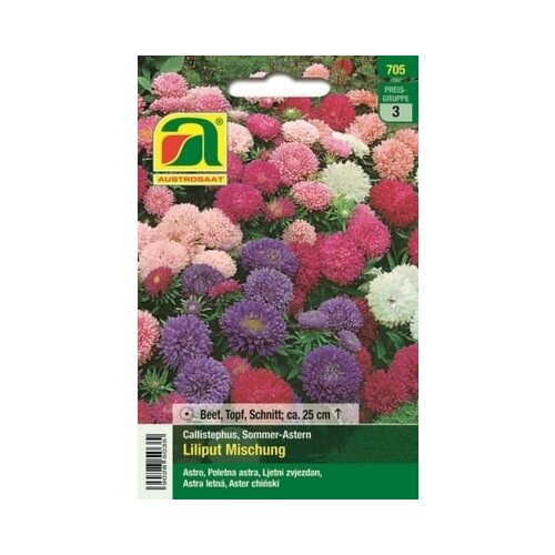 AUSTROSAAT Aster "liliput-mešanica" Cene