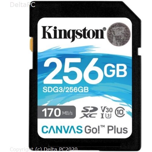 MEM SD 256GB Canvas GO Plus KIN Cijene