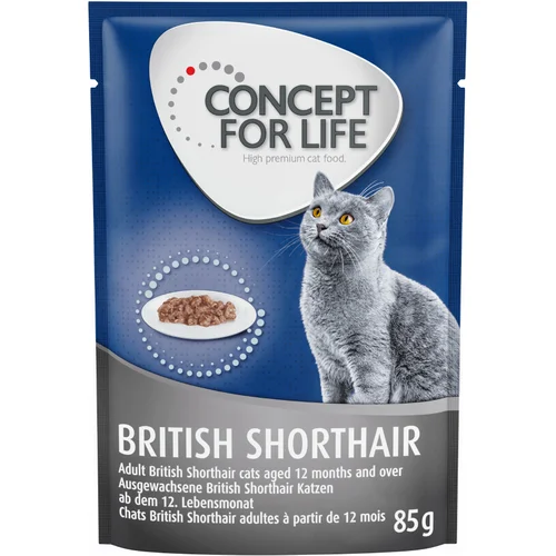 Concept for Life British Shorthair Adult - poboljšana receptura! - Kao dodatak: 12 x 85 g British Shorthair