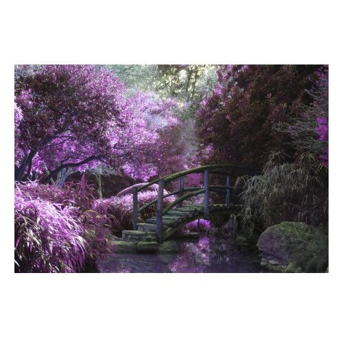  CT-5153 multicolor bathmat set (2 pieces) Cene