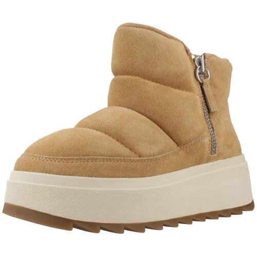 Ash Škornji MALICAB Kostanjeva Cene