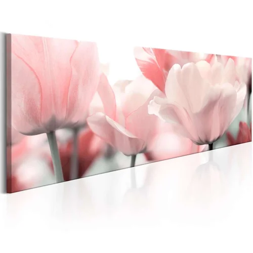  Slika - Pink Tulips 120x40