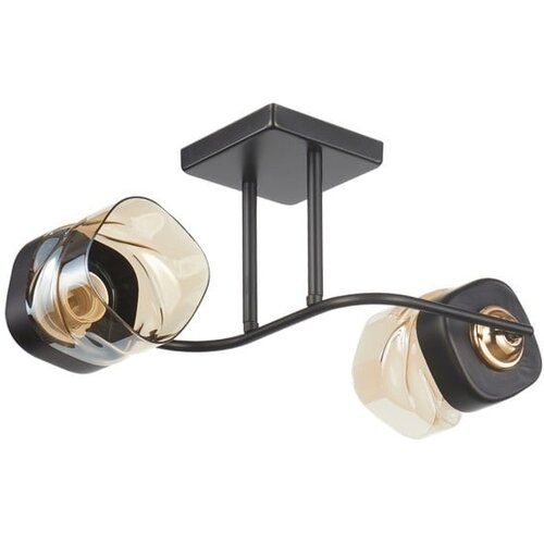  plafonska lampa MD2747-2 bk+gd Cene