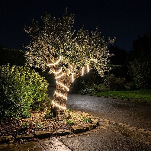 Eglo LED trakovi Collepasso (Temperatura barve: 2.700 K, 25 m, IP65) Cene