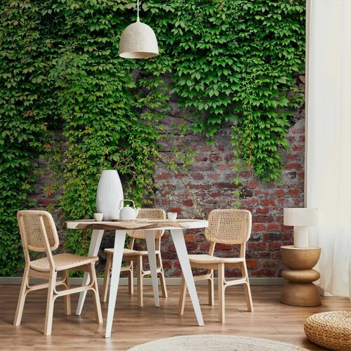  Foto tapeta - Brick and ivy 150x105 Cene