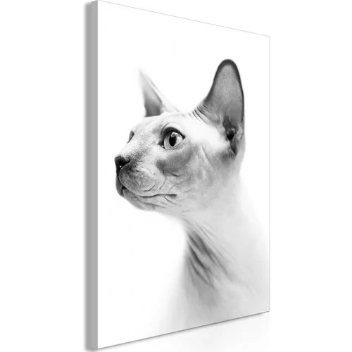  Slika - Hairless Cat (1 Part) Vertical 60x90