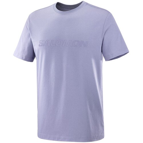 Salomon Big Logo majica Cene