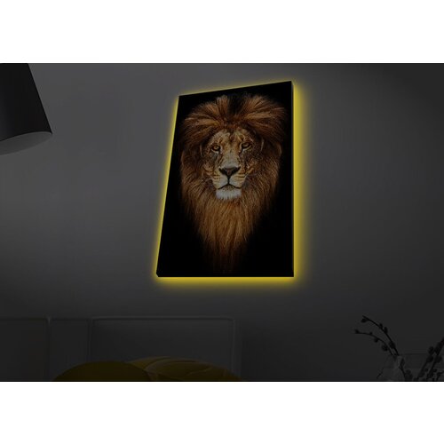 Wallity Slika sa LED osvetljenjem 4570MDACT-078, 45x70 cm Cene
