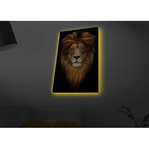 Wallity Zidna slika sa LED osvjetljenjem 4570MDACT-078, 45x70 cm Cene