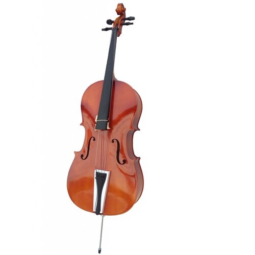Moller Violončelo 1164 1/4 i 4/4 Cene