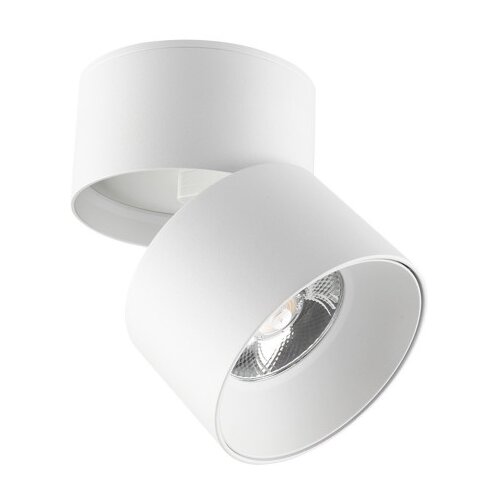 Vito Lampa LED spot 20W 4000K LAZY-20 2102930 bijela Slike