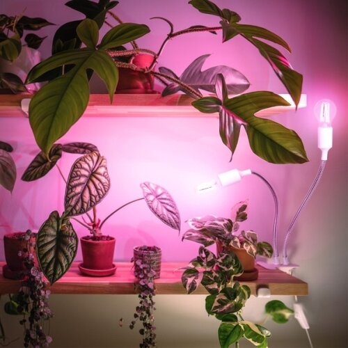 Fleksibilna stona lampa sa stezaljkom za gajenje biljaka PLANTY 2xE27/30W/230V bela Slike