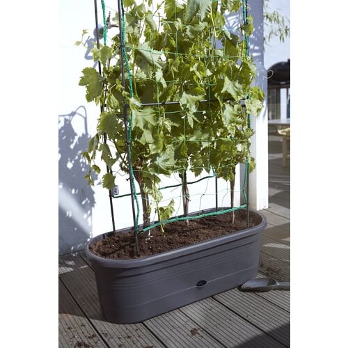 ELHO green basics veggie wall 80 cm Cene