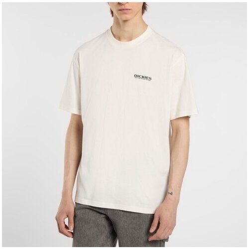Dickies Majice s kratkimi rokavi BURNS TEE Bela Slike