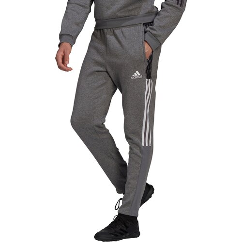 Adidas &amp;Scaron;portne hlače &amp;#039;Tiro 21&amp;#039; pegasto siva / bela Slike
