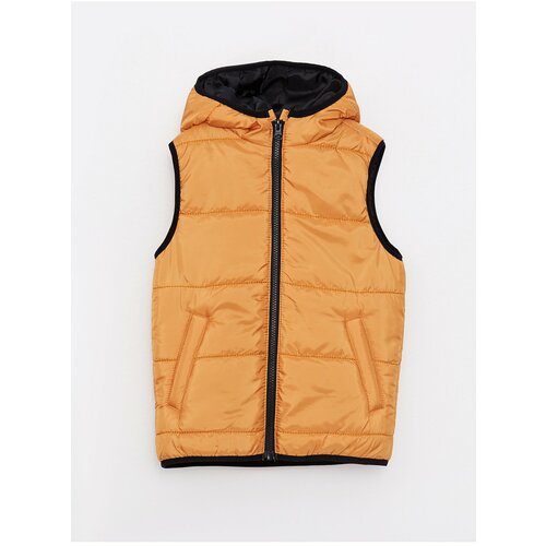 LC Waikiki Basic Boy's Inflatable Vest with a Hooded Slike