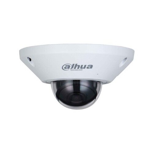 Dahua IPC-EB5541-AS 5MP WizMind Fisheye Network camera Cene